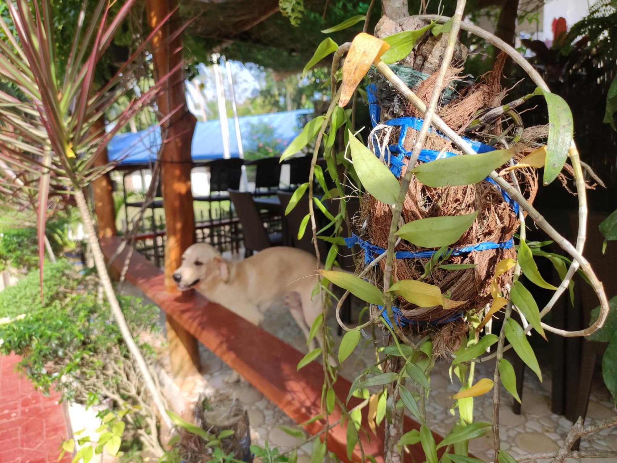 Glorias Panglao Inn 1 ภายนอก รูปภาพ